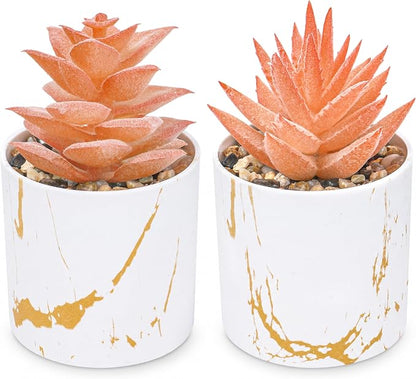 Der Rose Set of 2 Fall Artificial Succulent Plants, Mini Fake Succulents, Fall Decorations for Office Desk Bathroom Shelf Bedroom, Thanksgiving Decor