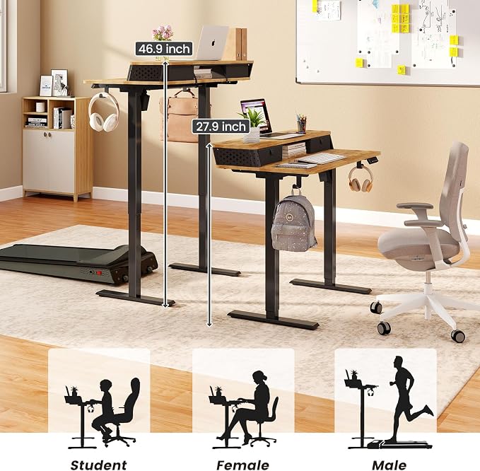 Electric Standing Desk with Two Drawers,40 x 24 Inch Sit Stand Desk Adjustable Height, Stand Up Desk with Storage Shelf, Computer Workstation for Home Office, Rustic Brown