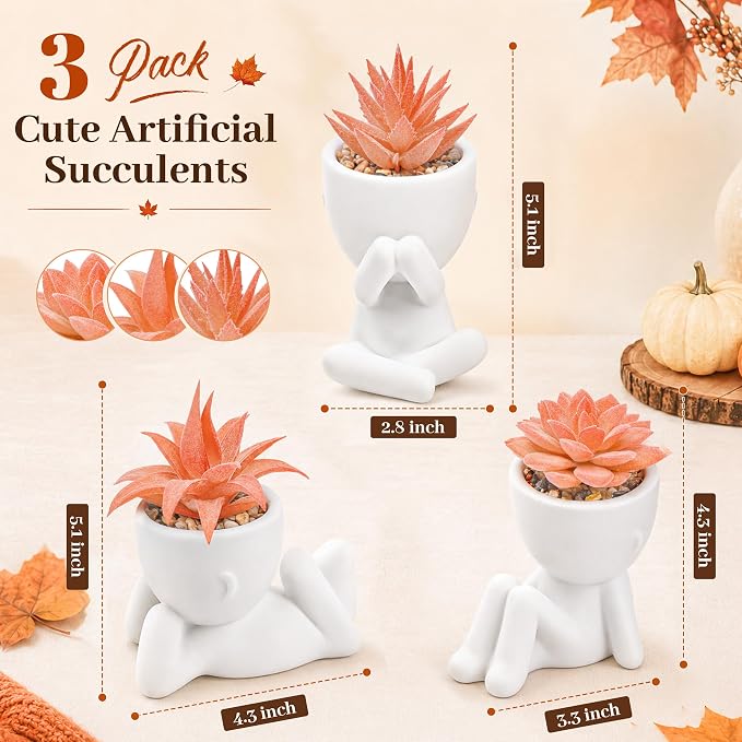 Der Rose Set of 3 Fall Artificial Succulent Plants, Small Fake Plants in Cute Pots, Autumn Room Decor for Bathroom, Bedroom, Office Desk, Shelf