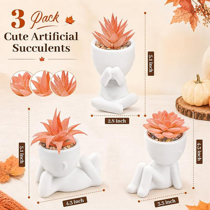 Der Rose Set of 3 Fall Artificial Succulent Plants, Small Fake Plants in Cute Pots, Autumn Room Decor for Bathroom, Bedroom, Office Desk, Shelf