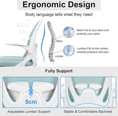 Primy Office Chair Ergonomic Desk Chair with Adjustable Lumbar Support and Height, Swivel Breathable Desk Mesh Computer Chair with Flip up Armrests for Conference Room（Light Blue）