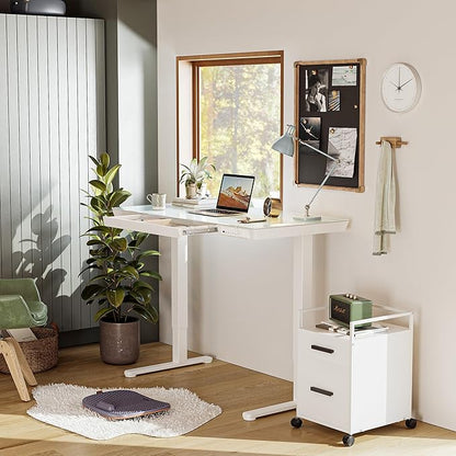 BANTI Electric Standing Desk with Drawers, 55 inch Whole-Piece Glass Desktop, Height Adjustable Stand up Sit Stand Home Office Ergonomic Workstation, White Tabletop