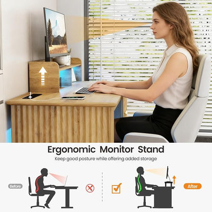Lareth Computer Desk with Monitor Stand, 47 inch Home Office Desk with RGB LED Lights and Power Outlets, Writing Desk with Storage File Drawer for Working Gaming Writing, Wood
