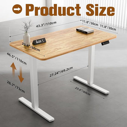 ERGOMAKER 43" Electric Standing Desk, Adjustable Height, Sit Stand Up Desk for Home Office & Computer Workstations, Memory Controller, Light Rustic Brown