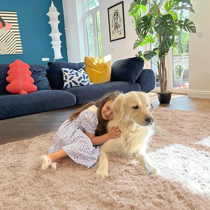 OLANLY 4x9 Area Rugs for Living Room Bedroom, Machine Washable Soft Fluffy Shaggy Bedside Rug, Indoor Floor Carpet for Kids Girls and Boys, Dorms, Nursery Rooms, Home Decor Aesthetic, Beige