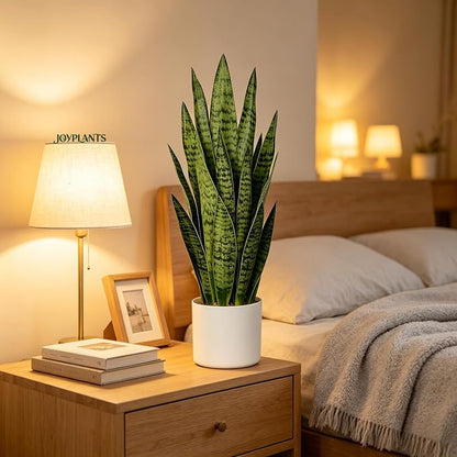 27" Artificial Snake Plant in White Pot, Realistic Faux Potted Plant for Home Office Decor, Low Maintenance Lifelike Silk Plant, Pet-Friendly Indoor Outdoor, No Watering Needed