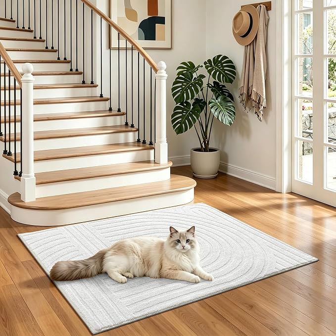 Pauwer 2x3 Washable Area Rugs for Living Room Modern White Solid Color Soft Fluffy Rugs for Bedroom Non Slip Boho Accent Indoor Mat Floor Carpet Cover for Kids Room Dining Room Kitchen Office