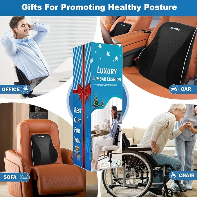 Lumbar Support Pillow for Office Chair Car, Gaming Chair Lower Back Pain Relief Memory Foam Cushion with Greeting Card,3D Mesh Cover Ergonomic Back Rest, Birthday Gift for Dad,Stocking Stuffers