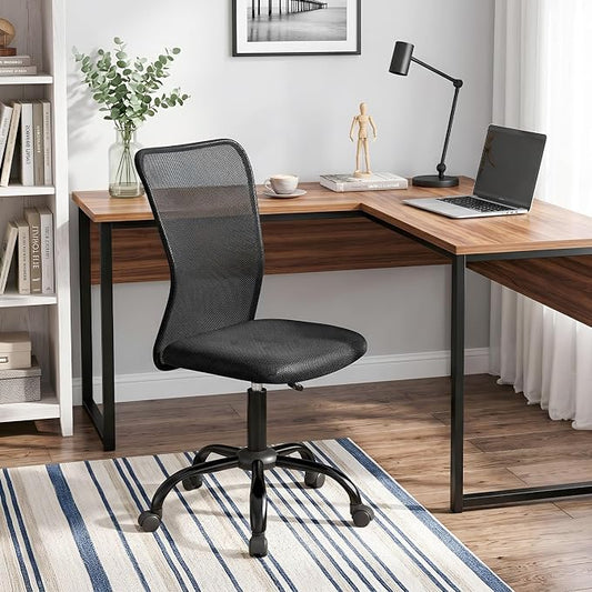 FDW Home Office Chair Mid Back Mesh Desk Chair Armless Computer Ergonomic Task Rolling Swivel Chair Back Support Adjustable Modern with Lumbar Support,Dark Black