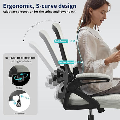 Ergonomic Office Chair, Desk Chair with Adjustable Lumbar Support, Breathable Mesh Comfy Computer Chairs with Flip-up Armrests Executive Task Chair for Adults Home Office (Dark Gray)