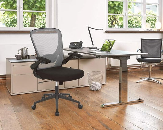 Office Chair Desk Computer Chair with Lumbar Support Flip-up Arms Swivel Rolling Executive Task Mesh Adjustable Ergonomic for Adults(Grey)