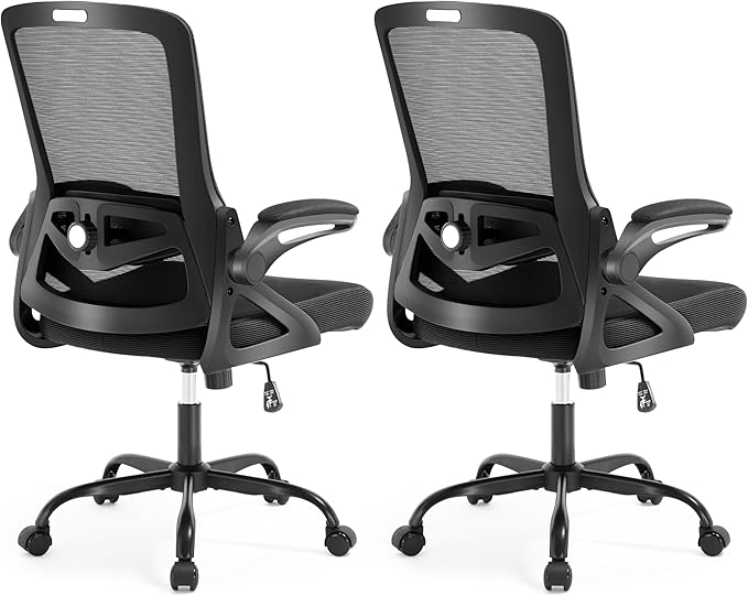 Ergonomic Office Chair, Desk Chair with Adjustable Lumbar Support, Breathable Mesh Comfy Computer Chairs with Flip-up Armrests Executive Task Chair for Adults Home Office (2Pcs)