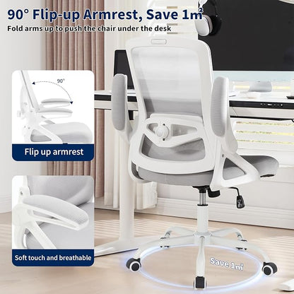 Ergonomic Office Chair, Desk Chair with Adjustable Lumbar Support, Breathable Mesh Comfy Computer Chairs with Flip-up Armrests Executive Task Chair for Adults Home Office(Gray)