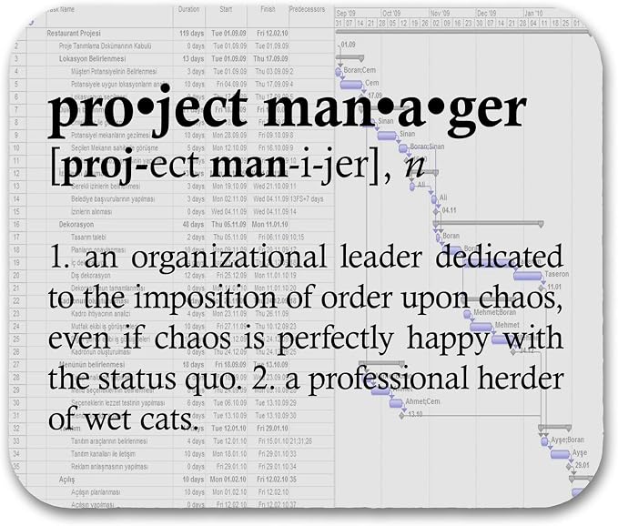 Project Manager Definition Funny Mouse Pad