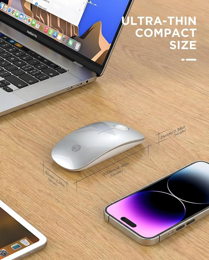 RAPIQUE R306 Wireless Mouse, Bluetooth 5.1 & 2.4GHz Dual Mode Silent Mouse, Silver Gloss Top with White Matte Base, Slim Portable Mouse for Laptop, MacBook,Tablet, Chromebook (Silvery)