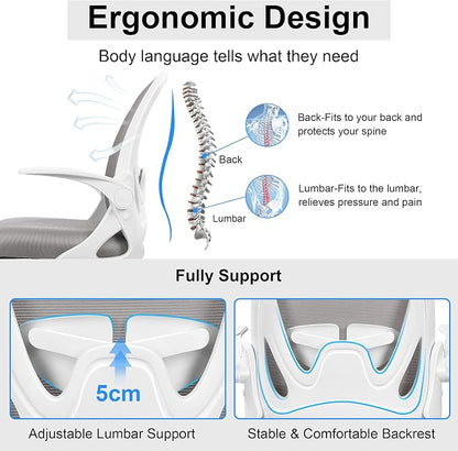 Primy Office Chair Ergonomic Desk Chair with Adjustable Lumbar Support and Height, Swivel Breathable Desk Mesh Computer Chair with Flip up Armrests for Conference Room（Gray）