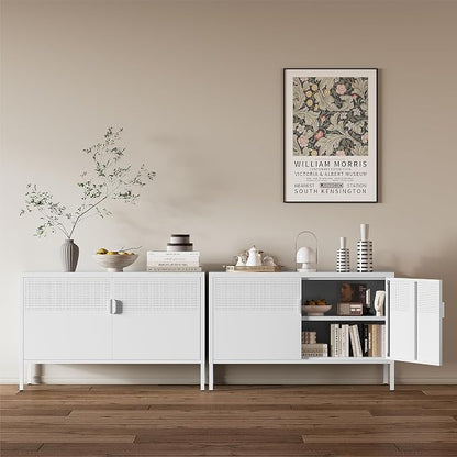Metal Storage Cabinet,2 Door TV Stand, Metal Mesh Accent Cabinet,Magnetic Door Closure,Low Storage Cabinets with Doors and Shelf for Home,Office,Living Room