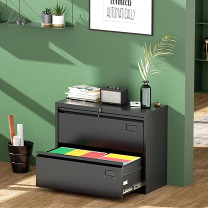 Greenvelly 2 Drawer Filing Cabinet, Black Lateral File Cabinet with Lock, Metal File Cabinets with Adjustable Hanging Bars&2 Keys, Locking File Cabinet for Home Office, Legal/F4/Letter, Etc