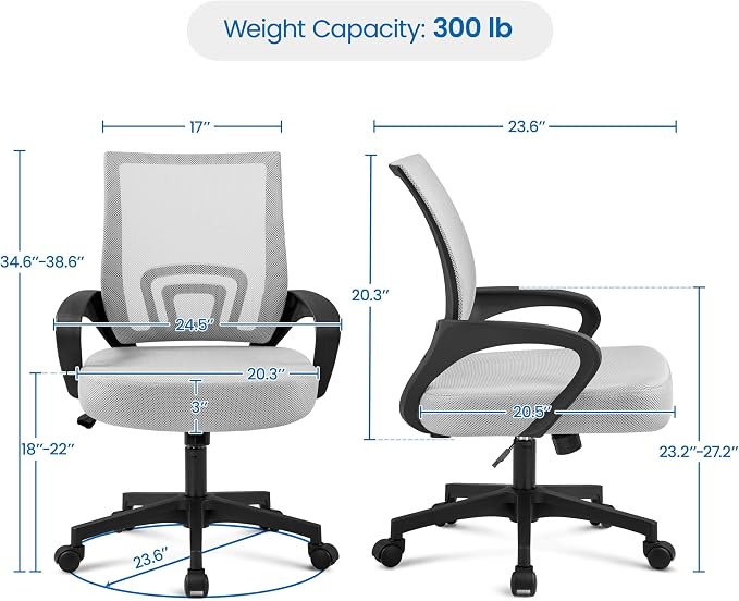 Topeakmart Executive Office Chair Computer Desk Chair for Home Office Student Study Conference Room, Grey