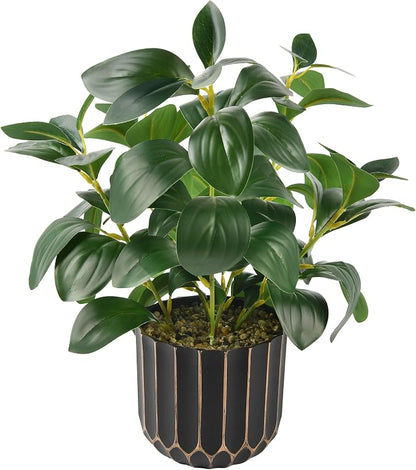 florisso Artificial Succulents with Fig Leaf Greenery in Black & Gold Planter, Fake Succulents Potted Decor for Farmhouse, Bathroom, Bedroom, Kitchen, Office Desk and Coffee Table (Black Gold)