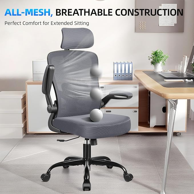 FelixKing Office Chair, Desk Chair with Adjustable Lumbar Support, Ergonomic Computer Chair with High Back and Armrest, Adjustable Height Gaming Chair Home Office Swivel Chair(Dark Gray)