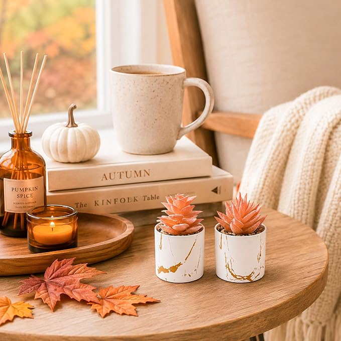 Der Rose Set of 2 Fall Artificial Succulent Plants, Mini Fake Succulents, Fall Decorations for Office Desk Bathroom Shelf Bedroom, Thanksgiving Decor
