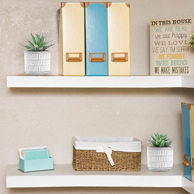 Der Rose Set of 2 Succulents Plants Artificial Fake Cactus Plants for Living Room Bathroom Bedroom Aesthetic Home Shelf Decor