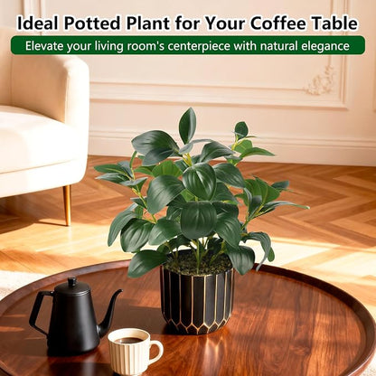 florisso Artificial Succulents with Fig Leaf Greenery in Black & Gold Planter, Fake Succulents Potted Decor for Farmhouse, Bathroom, Bedroom, Kitchen, Office Desk and Coffee Table (Black Gold)
