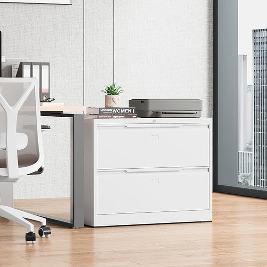 Bestoo 2 Drawer File Cabinet with Lock, Metal Lateral Filing Cabinet, File Cabinets for Home Office, Office Cabinet for Hanging Files Letter/Legal/F4/A4 Size