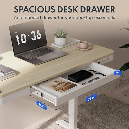 FLEXISPOT Comhar Electric Standing Desk with Drawers Charging USB Port, Height Adjustable 48" Whole-Piece Quick Install Home Office Computer Laptop Table with Storage