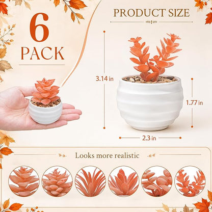 Der Rose Set of 6 Fall Succulents Plants Artificial Small Fake Plants for Autumn Bedroom Living Room Office Shelf Bathroom Decor