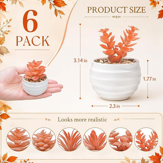 Der Rose Set of 6 Fall Succulents Plants Artificial Small Fake Plants for Autumn Bedroom Living Room Office Shelf Bathroom Decor