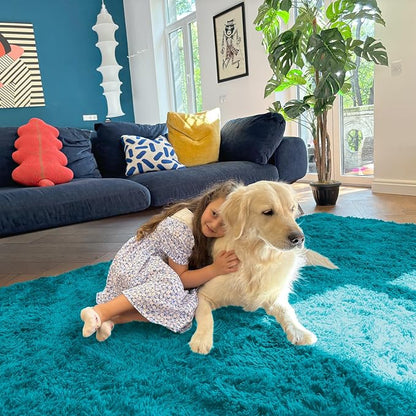 OLANLY 6x9 Machine Washable Large Area Rugs for Living Room, Bedroom, Soft Fluffy Shaggy Bedside Rug, Indoor Floor Carpet for Kids Girls and Boys, Dorms, Nursery, Home Decor Aesthetic, Teal