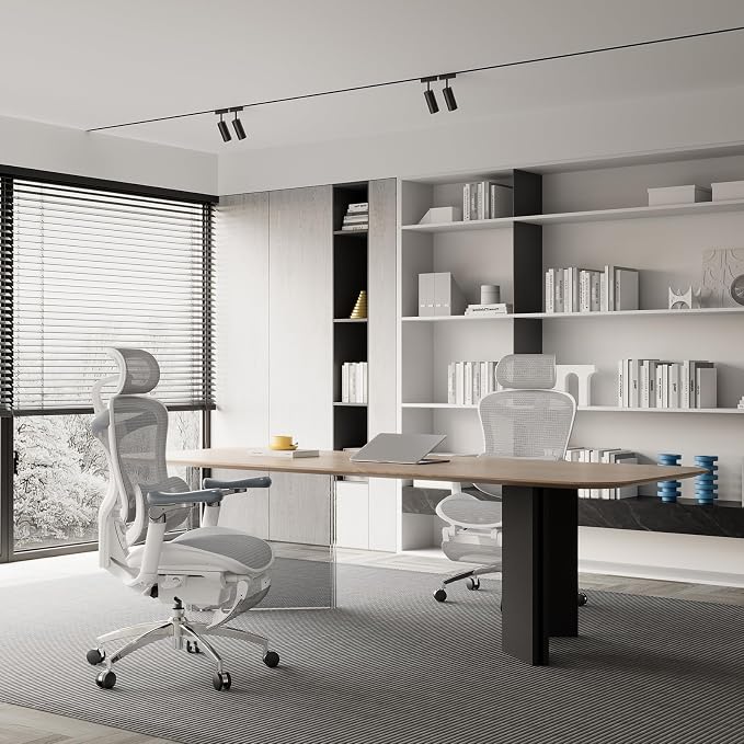 SIHOO Doro C300 Pro Ergonomic Office Chair with Footrest, Ultra-Soft 6D Armrests, Dynamic Lumbar Support, Seat Depth Adjustment and Adjustable Backrest, Big and Tall Desk Chair 2 Packs (Grey)