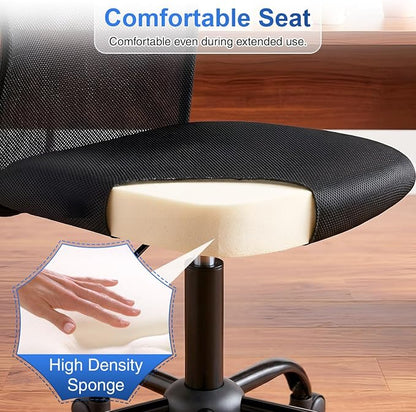FDW Home Office Chair Mid Back Mesh Desk Chair Armless Computer Ergonomic Task Rolling Swivel Chair Back Support Adjustable Modern with Lumbar Support,Dark Black