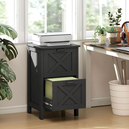 HOMCOM 2 Drawer Vertical File Cabinet with Silent Slides, Rustic Farmhouse Filing Cabinet with Barn Doors for A4/Letter Size, Printer Stand with Storage for Home Office, Distressed Black