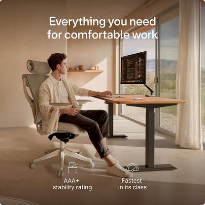 Desktronic HomeOne Standing Desk 48x24 — Ergonomic Sit Stand Home Office Desk, Made in Europe, Electric Dual Motor Height Adjustable, USB & USB-C Charging, Wobble-Free, Touchscreen, 3 Memory Presets