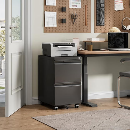Bestoo Mobile File Cabinet with Lock, 2 Drawer Filing Cabinet, Under Desk Metal Rolling Filing Cabinets for Home Office, Fits Letter/Legal/A4 Size File, Easy Assembly