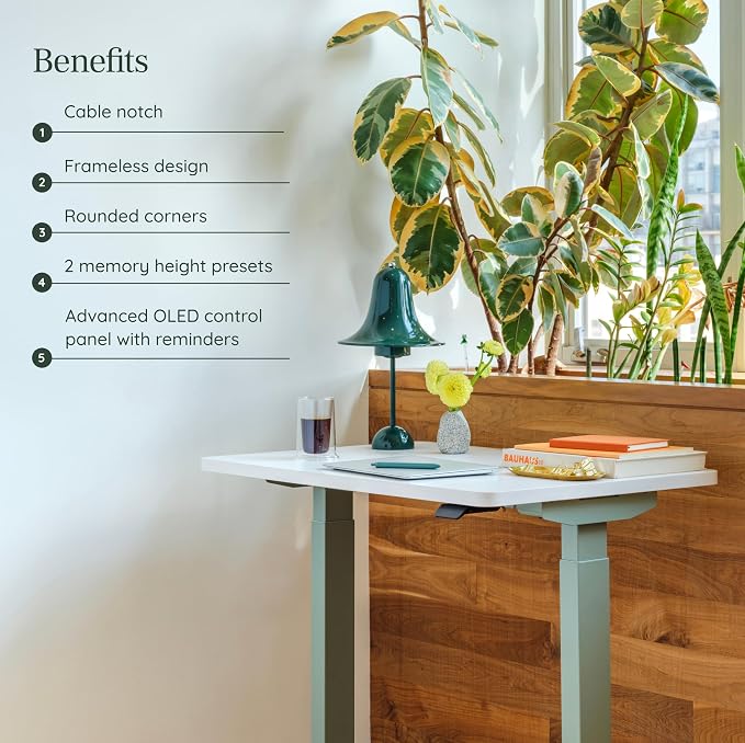 Branch Duo Standing Desk 36 Inches - Adjustable Standing Desk with 20” Range - OLED Control Panel - Frameless Design & Compact Size Suitable for Many Spaces - White Base - Woodgrain Top