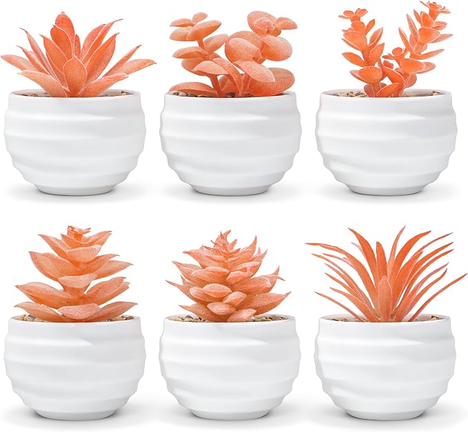 Der Rose Set of 6 Fall Succulents Plants Artificial Small Fake Plants for Autumn Bedroom Living Room Office Shelf Bathroom Decor
