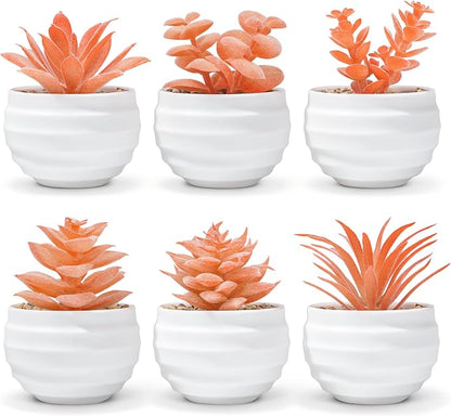 Der Rose Set of 6 Fall Succulents Plants Artificial Small Fake Plants for Autumn Bedroom Living Room Office Shelf Bathroom Decor