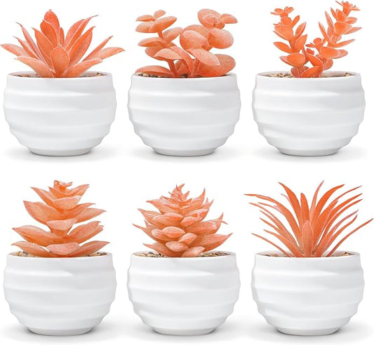 Der Rose Set of 6 Fall Succulents Plants Artificial Small Fake Plants for Autumn Bedroom Living Room Office Shelf Bathroom Decor