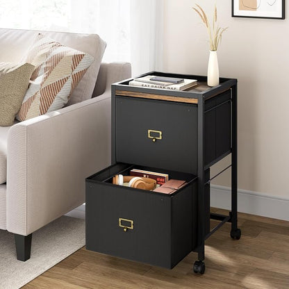 Garvee File Cabinet with 2 Drawers, Mobile Filing Cabinet Fits Letter Size or A4, Fabric Vertical File on Wheels, Home Office Small Under Desk Filing Storage Cabinets, Black