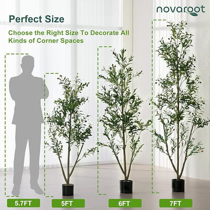 Olive Trees Artificial Indoor, 6FT Tall Faux Olive Tree with Moss and Planter, Artificial Plants Indoor with Realistic Silk Leaves and Lifelike Fruits, Fake Tree for Home Office Living Room Decor