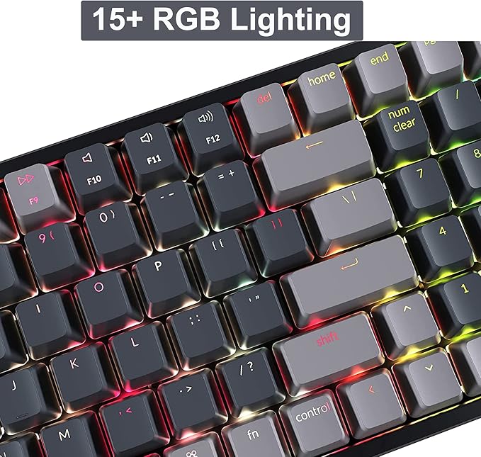 Keychron K4 Wireless Bluetooth/USB Wired Gaming Mechanical Keyboard, Compact 100 Keys 96% Layout RGB LED Backlit Gateron G Pro Red Switch N-Key Rollover, Aluminum Frame for Mac Windows, Version 2