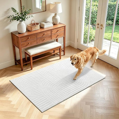 Pauwer 3x5 Washable Area Rugs for Living Room Modern White Solid Color Soft Fluffy Rugs for Bedroom Non Slip Boho Accent Indoor Mat Floor Carpet Cover for Kids Room Dining Room Kitchen Office