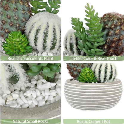 Artificial Cactus Plants Indoor, 5.5" Assorted Small Faux Succulent in Pots Fake Potted Desk Plant with Concrete Bowl Mini Succulents Artificial Cactus Decor for Home Office Bathroom Table Shelf