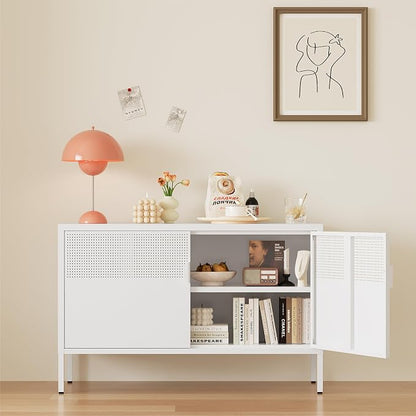 Metal Storage Cabinet,2 Door TV Stand, Metal Mesh Accent Cabinet,Magnetic Door Closure,Low Storage Cabinets with Doors and Shelf for Home,Office,Living Room