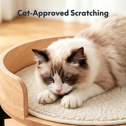 FLEXISPOT EN2 55" x 28" Standing Desk with Solid Wood Cat Bed Bundle, 1" Thick Desktop, Desk-Mounted Cat Perch with Scratcher, Maple