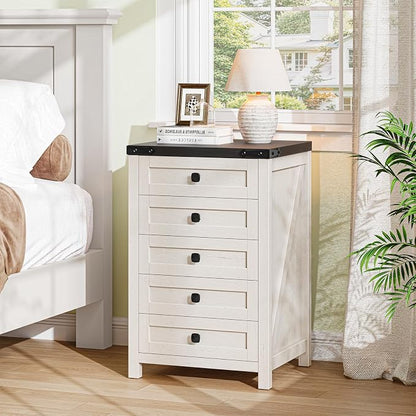 Halitaa 5 Drawer Storage Cabinet, Office Storage Cabinet with 5 Drawers, Small Farmhouse Printer Stand for Home Office, Rustic White and Black
